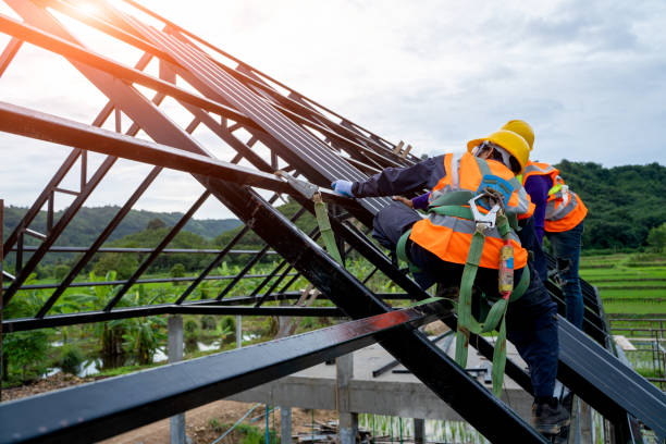 Best Roof Maintenance Services  in Zeigler, IL