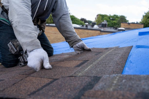 Best Roof Waterproofing Services  in Zeigler, IL