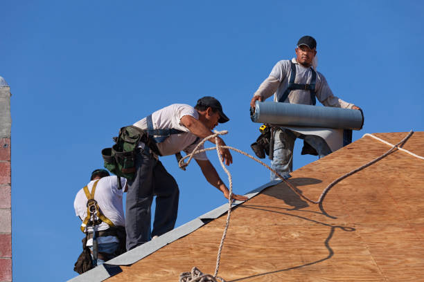 Best Best Roofing Contractors  in Zeigler, IL