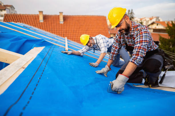 Best Emergency Roof Repair  in Zeigler, IL