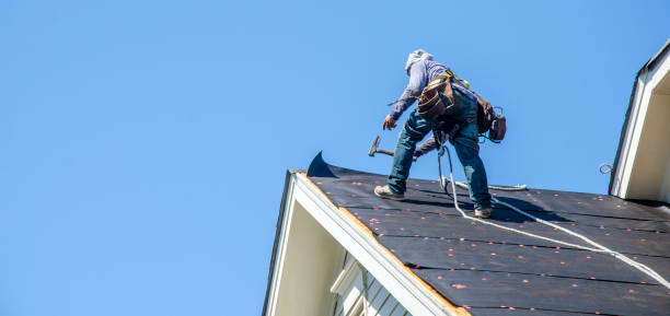 Best Storm Damage Roof Repair  in Zeigler, IL